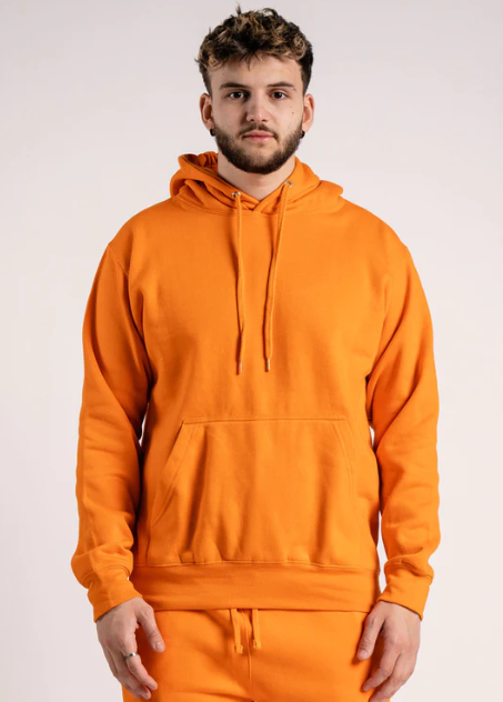 Elegant Heavy Blend Hoodie Sweatshirt