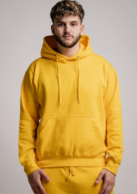 Elegant Heavy Blend Hoodie Sweatshirt