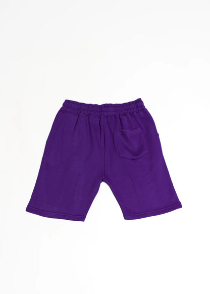 Elegant Heavy Blend Fleece SweatShort